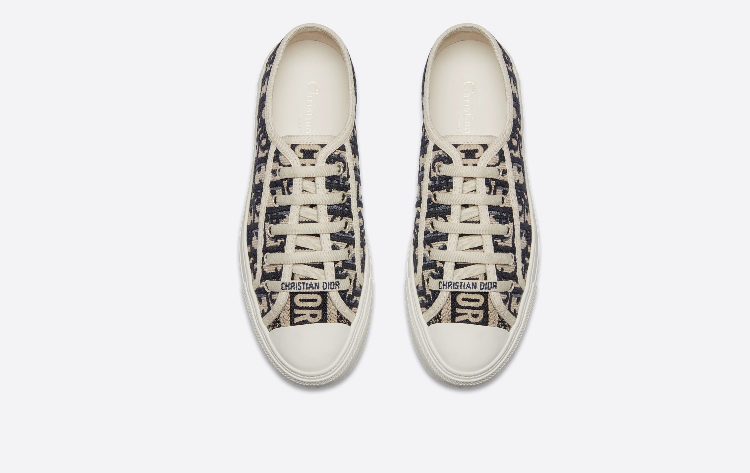 kedy-dior-walk-sinie3_m1092770