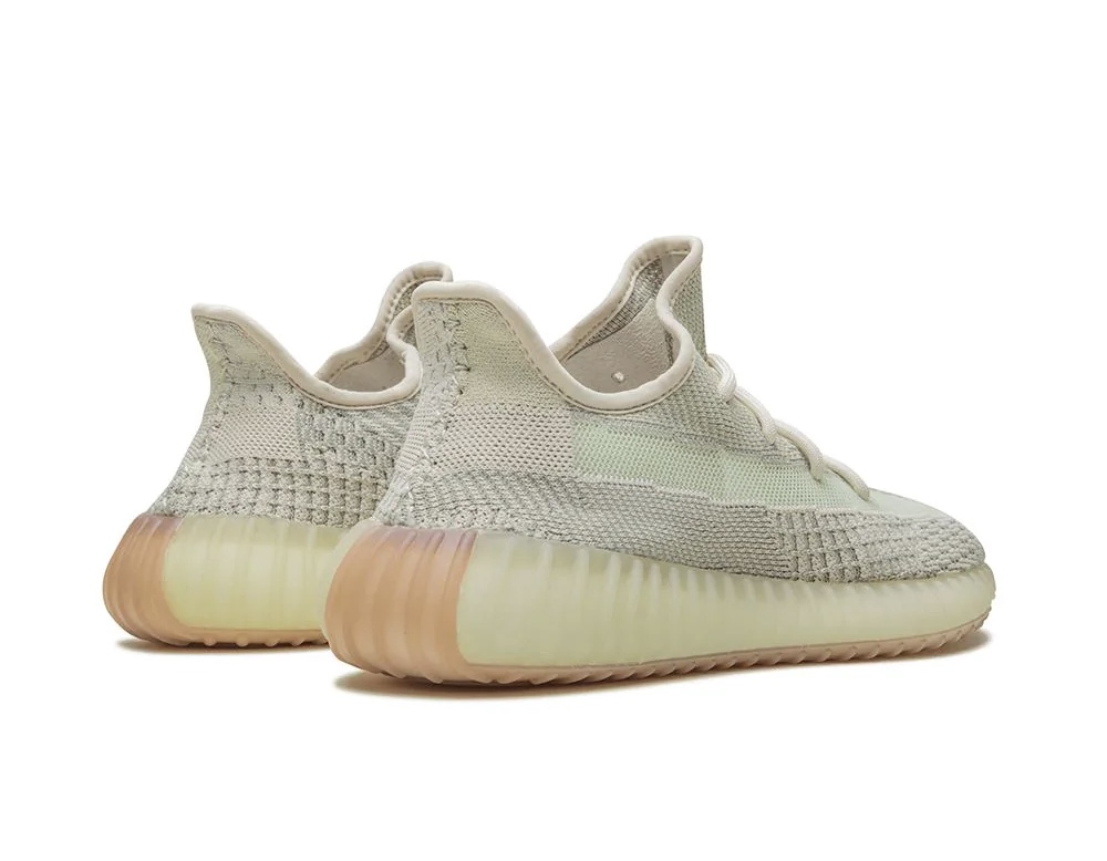 krossovki-adidas-yeezy-boost-350-v2-bezhevye3_f1094230