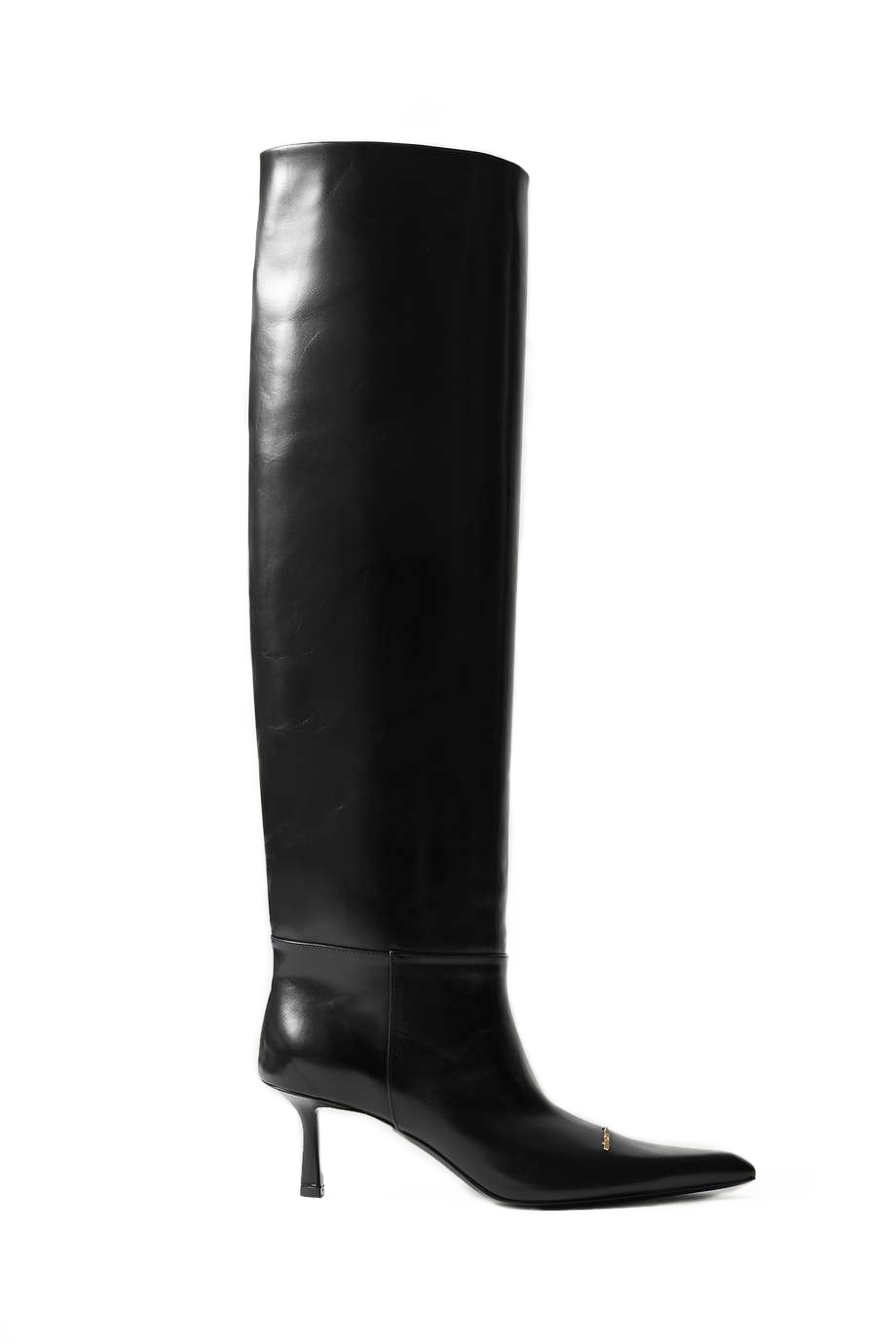 sapogi-alexander-wang-viola-chernye_f10276250