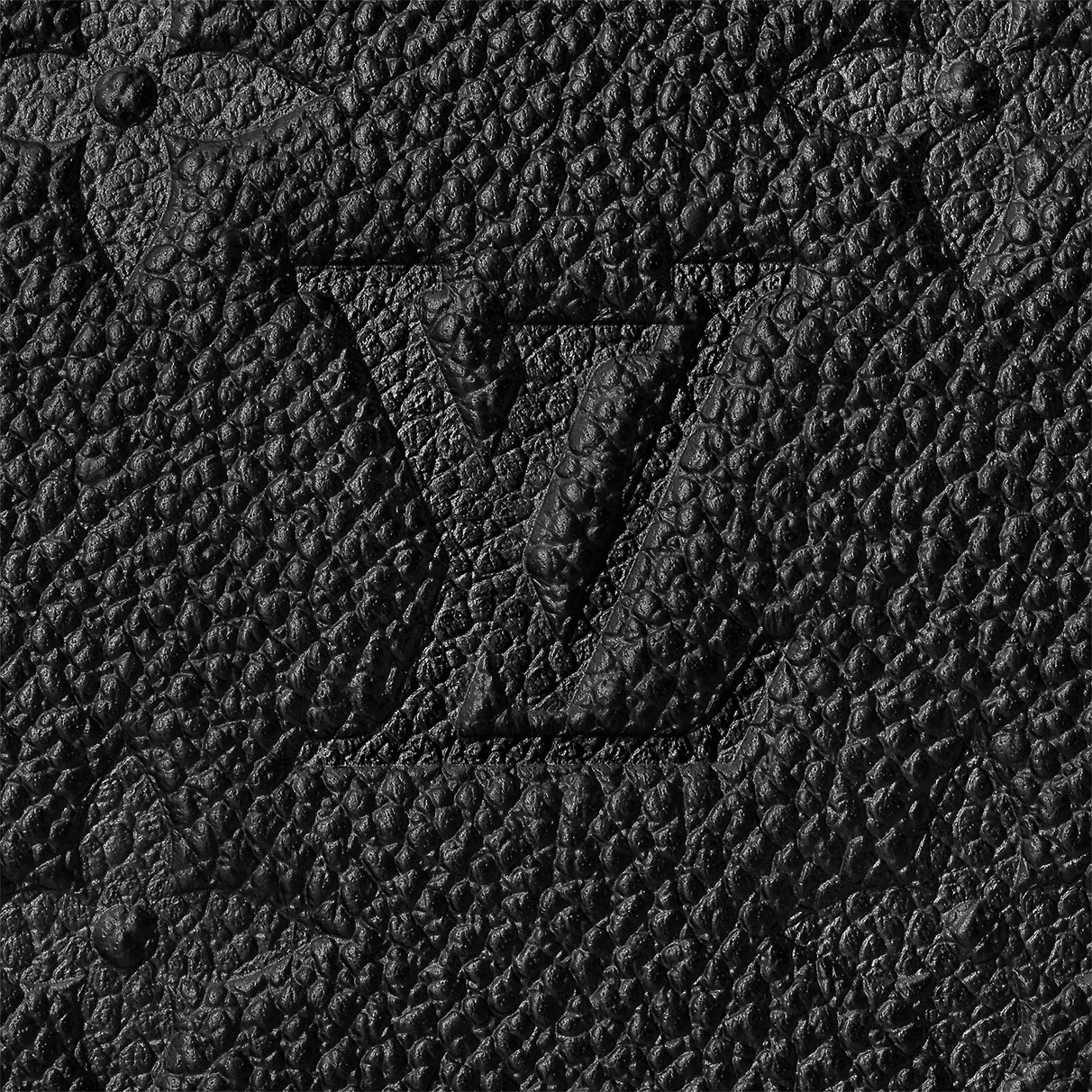 koshelek-louis-vuitton-zippy2_n109010