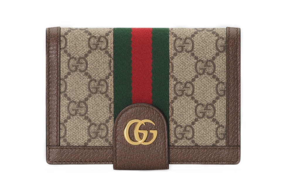 oblozhka-gucci-ophidia-bezhevaya_f10285950