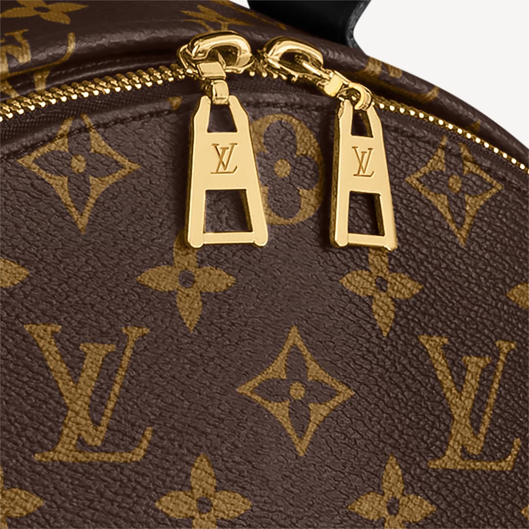 ryukzak-louis-vuitton-palm-springs-mm-korichnevyj2_n10155310