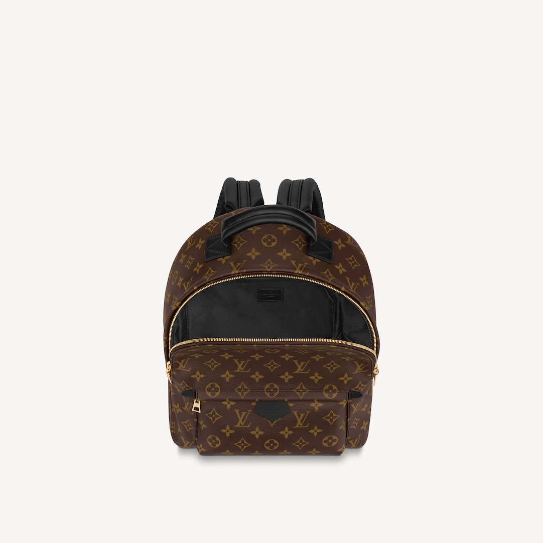 ryukzak-louis-vuitton-palm-springs-mm-korichnevyj3_n10155310