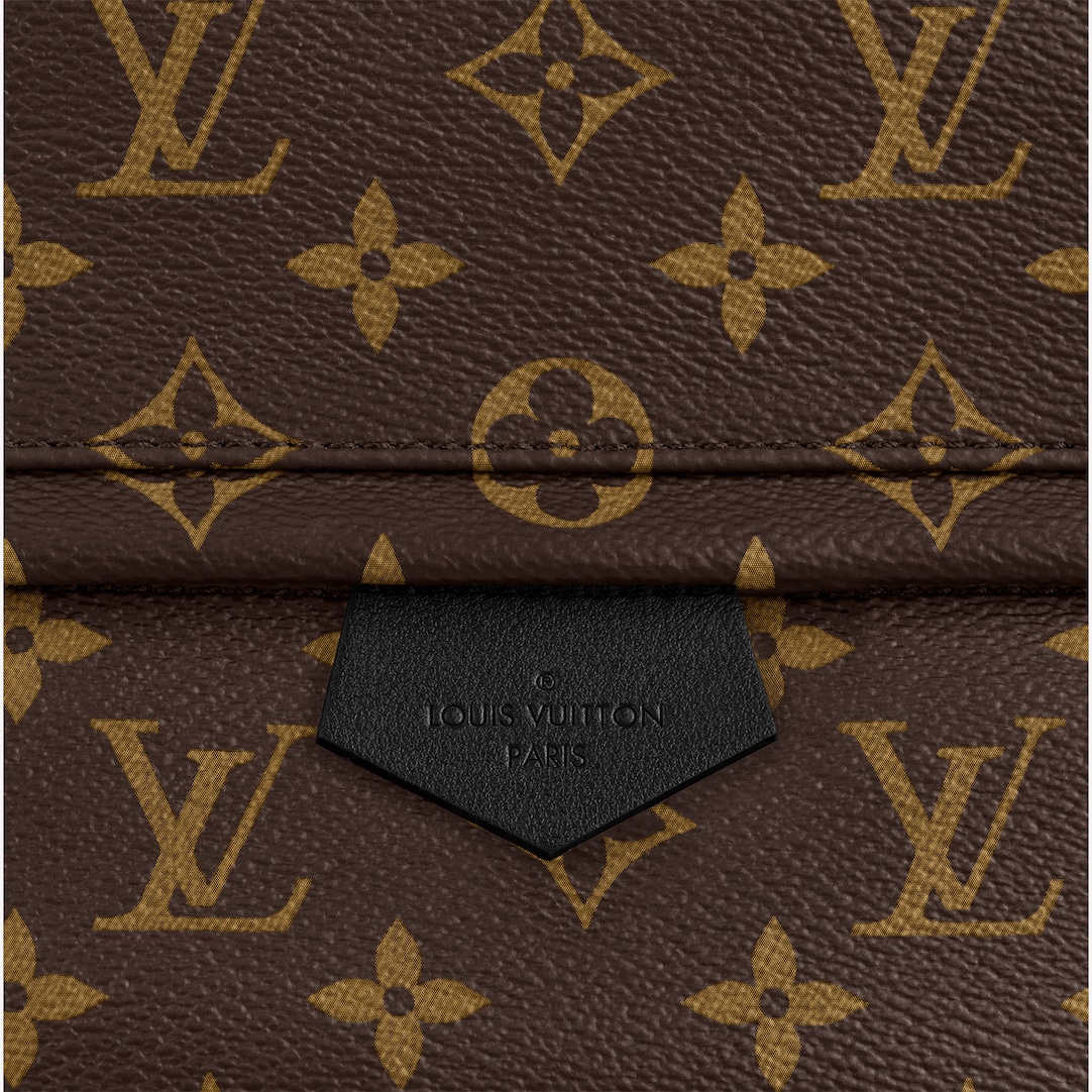 ryukzak-louis-vuitton-palm-springs-mm-korichnevyj4_n10155310
