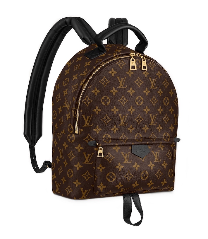 ryukzak-louis-vuitton-palm-springs-mm-korichnevyj_n10155310