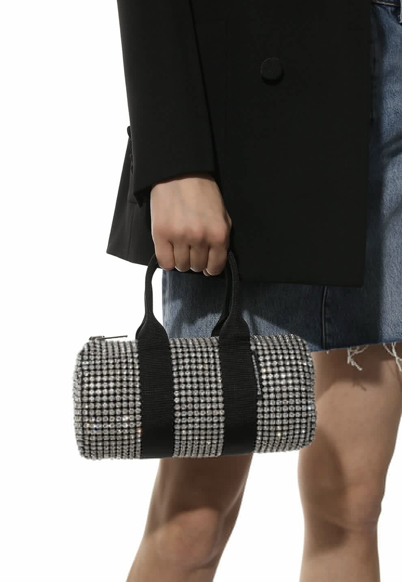 sumka-alexander-wang-cruiser-mini-serebryanaya1_n10248240