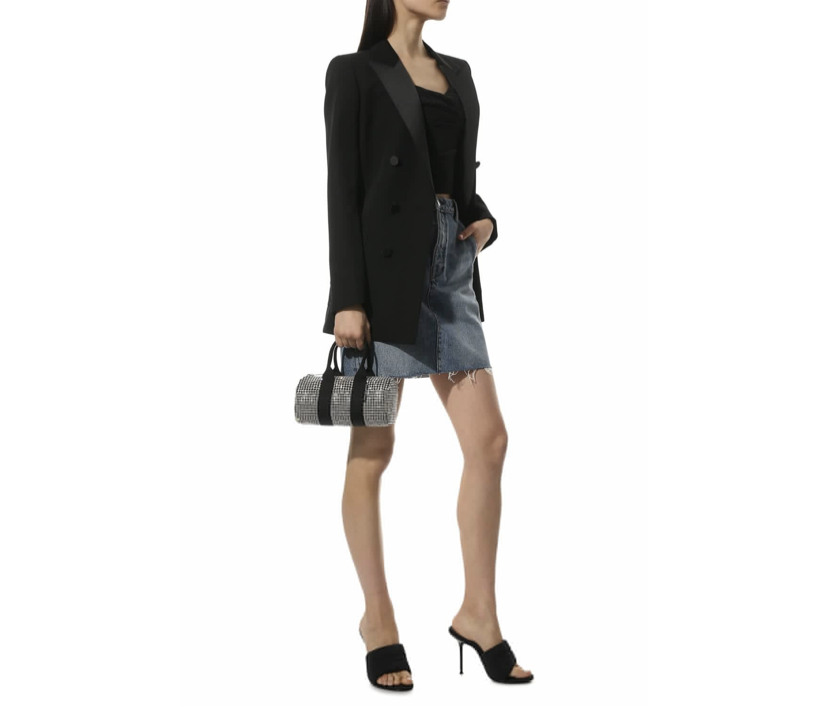 sumka-alexander-wang-cruiser-mini-serebryanaya2_n10248240