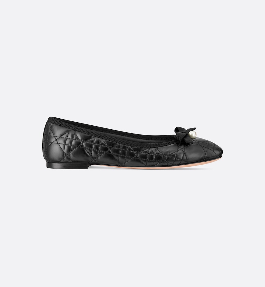 Балетки-Dior-Ballet-Черные3_F10388710-1.jpeg