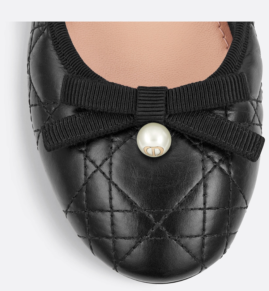 Балетки-Dior-Ballet-Черные5_F10388710-1.jpeg