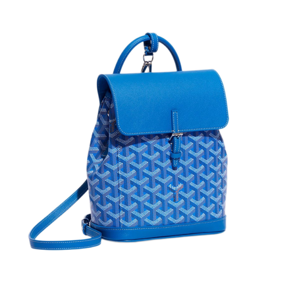 Рюкзак-Goyard-Alpin-Mini-Голубой_N10378460-1.jpeg