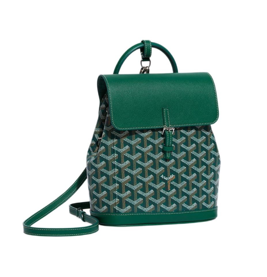 Рюкзак-Goyard-Alpin-Mini-Зеленый_N10378440-1.jpeg