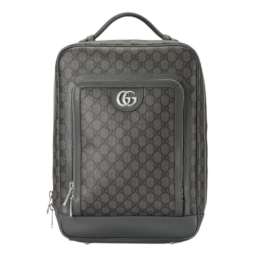 Рюкзак-Gucci-Ophidia-Gg-Серый_N10376800-1.jpeg