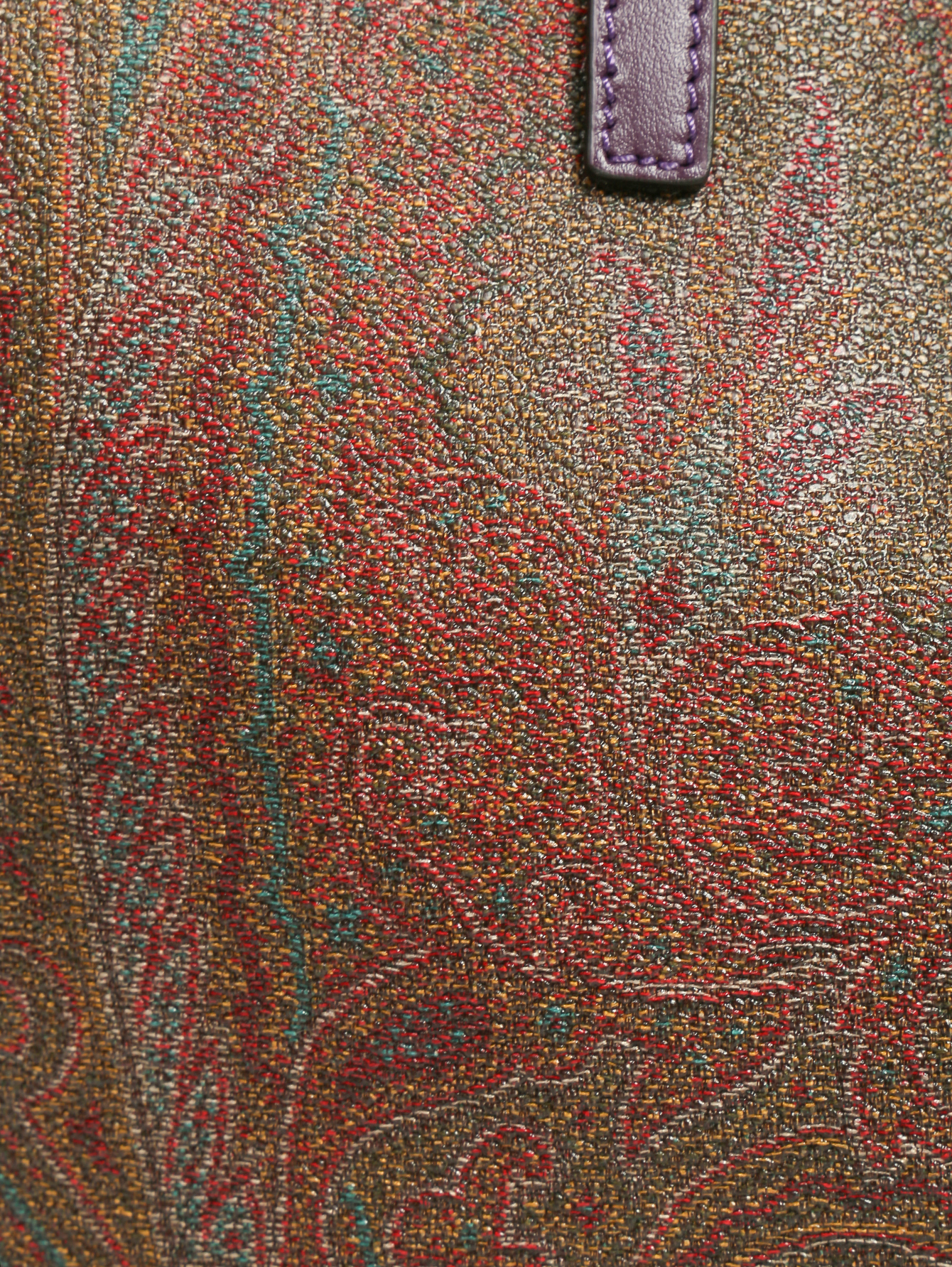 Сумка-Etro-Коричневая5_N10377180-1.jpeg