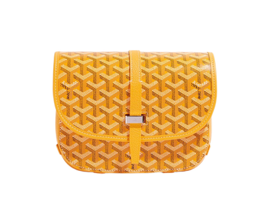Сумка-Goyard-Belvedere-Pm-Желтая_N10377940-1.jpeg