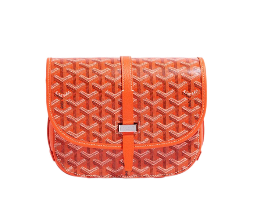 Сумка-Goyard-Belvedere-Pm-Оранжевая_N10377930-1.jpeg