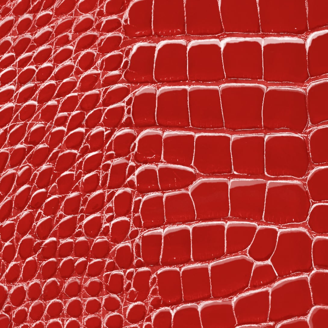 Сумка-Louis-Vuitton-Capucines-Mini-Красная2_N10385500-1.jpeg