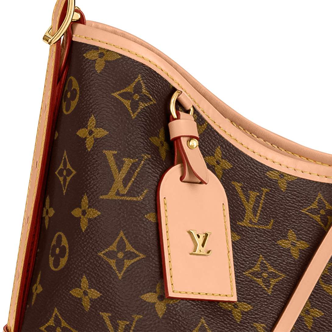 Сумка-Louis-Vuitton-Carry-All-Mm-Коричневая3_N10376640-1.png