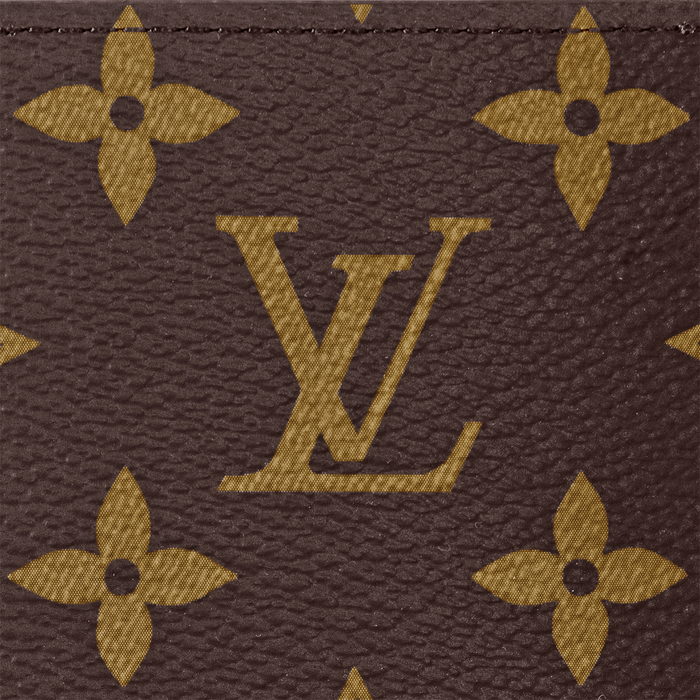 Обложка-Louis-Vuitton-Monogram-Macassar-Желтая4_F10405880-1.png