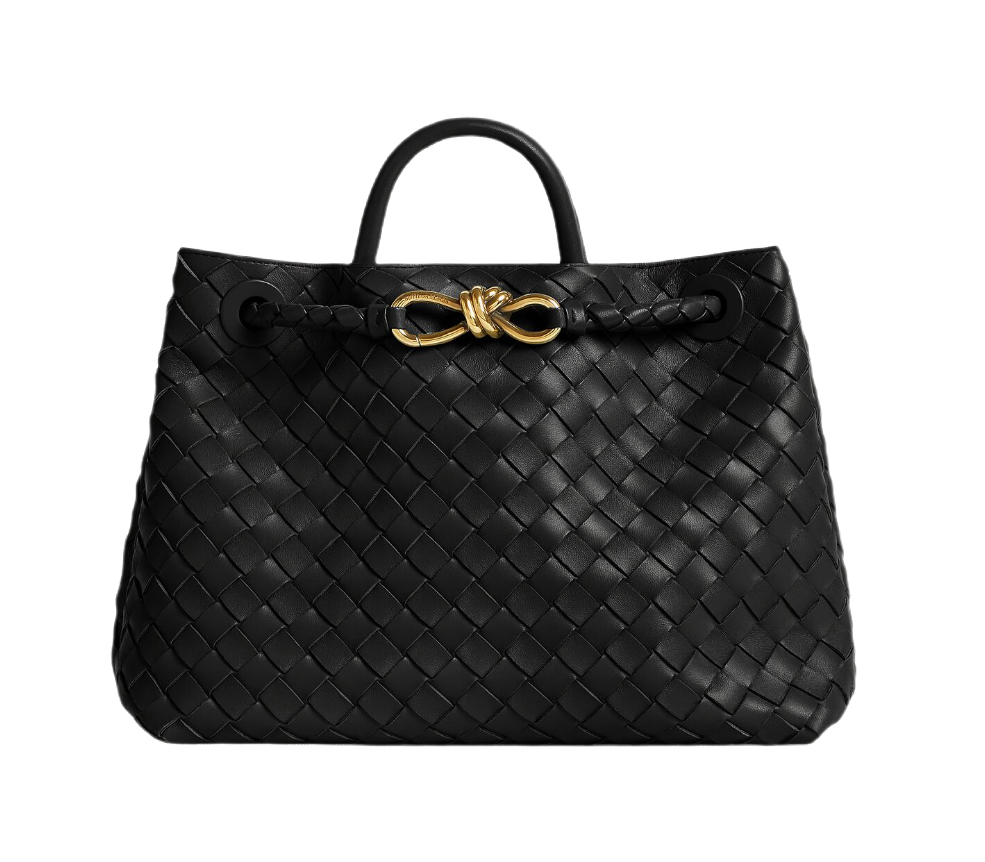 Сумка-Bottega-Veneta-Andiamo-Medium-Черная_N10424160-1.jpeg