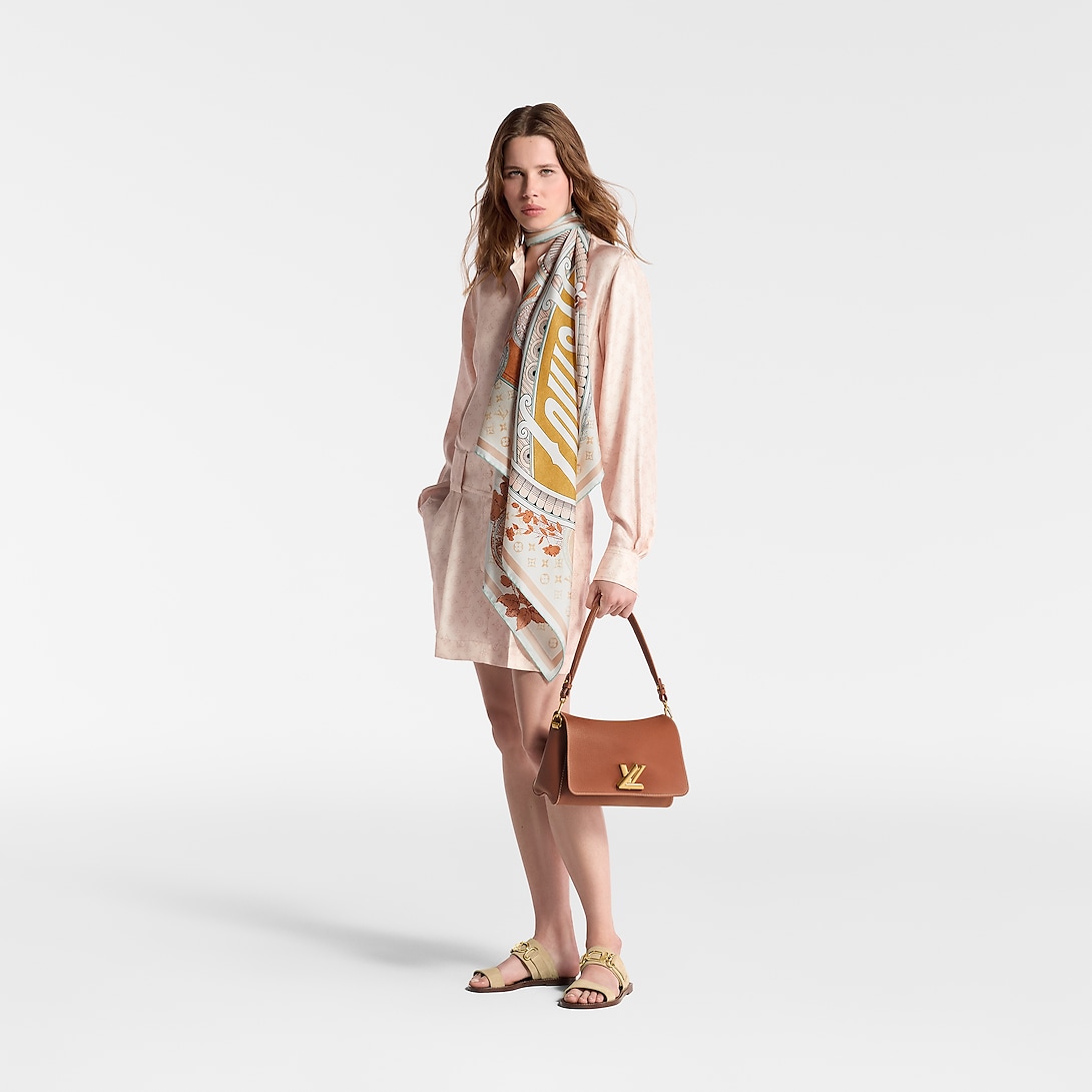 Сумка-Louis-Vuitton-Soft-Twist-Коричневая2_N10435830-1.jpeg