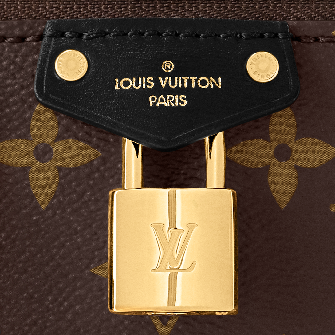 Сумка-Louis-Vuitton-Vanity-Chain-Коричневая3_N10438460-1.png