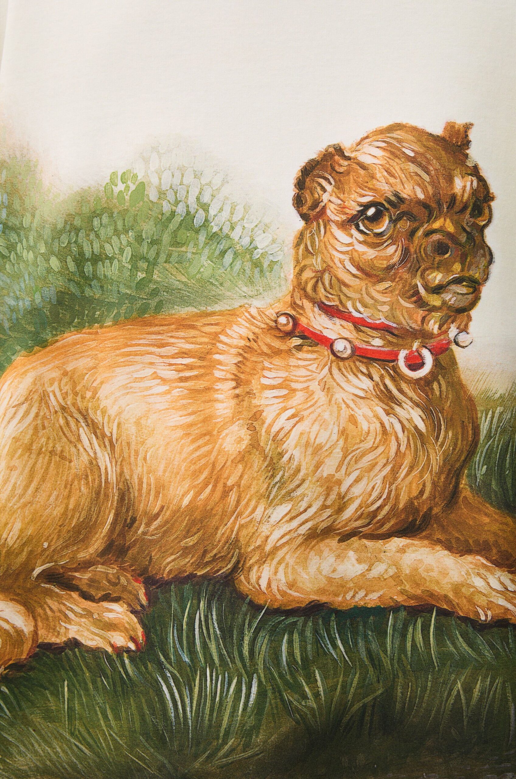 Футболка-Loewe-Brussels-Griffon-Белая2_F10434420-1.jpeg